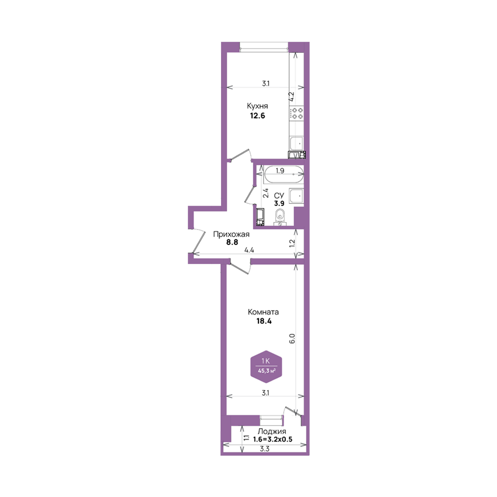 Планировка: 1-комн. квартира 45,3 м²