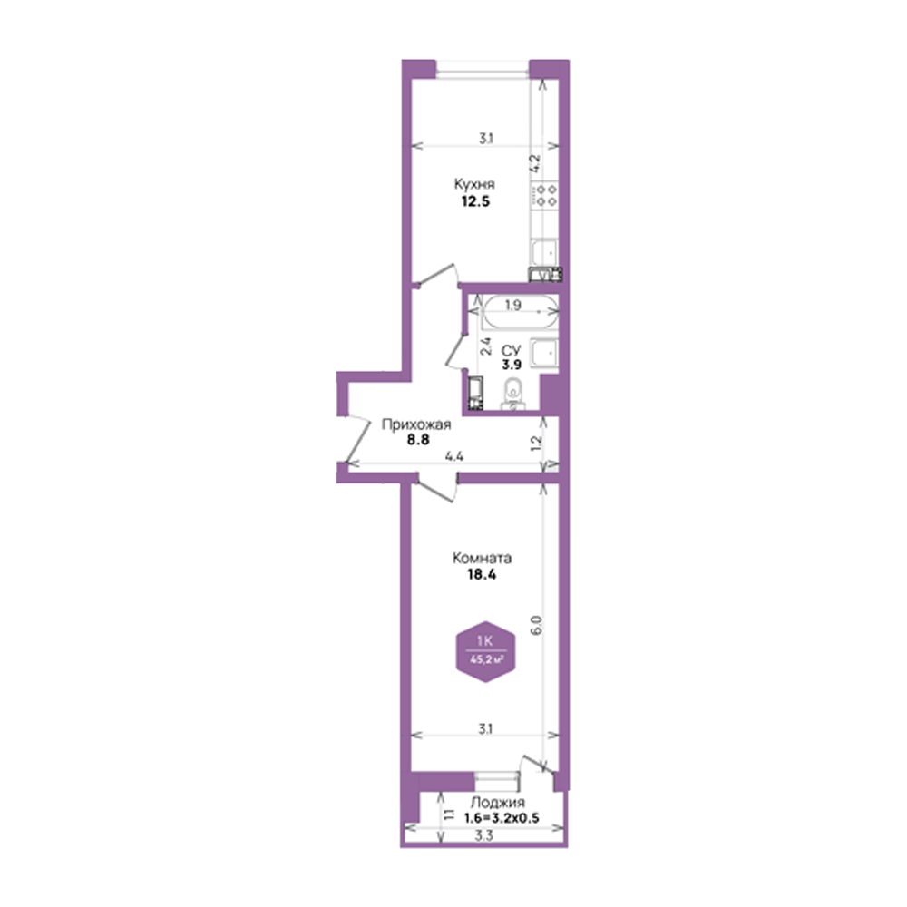 Планировка 1-комнатная 45,2 м²