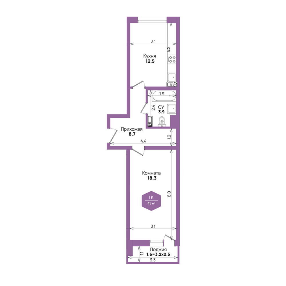 Планировка: 1-комн. квартира 45 м²