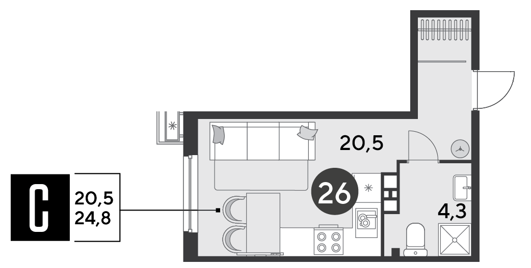 Планировка: Студия 24,8 м²