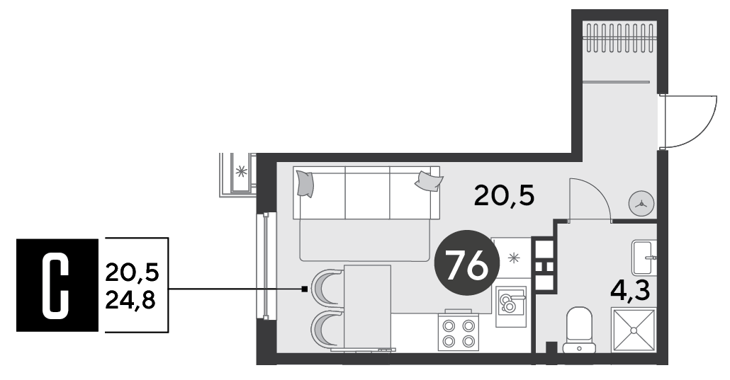 Планировка: Студия 24,8 м²