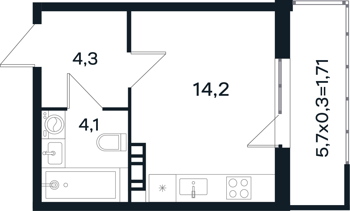 Планировка: Студия 24,3 м²