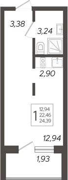 Планировка Студия 24,39 м²