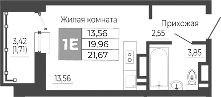Планировка Студия 21,67 м²