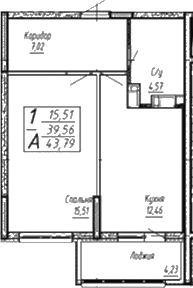 Планировка 1-комнатная 43,79 м²