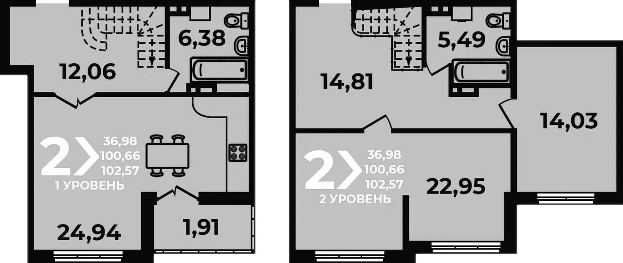 Планировка 2-комнатная 102,57 м²