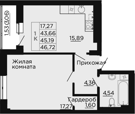 Планировка 1-комнатная 45,19 м²