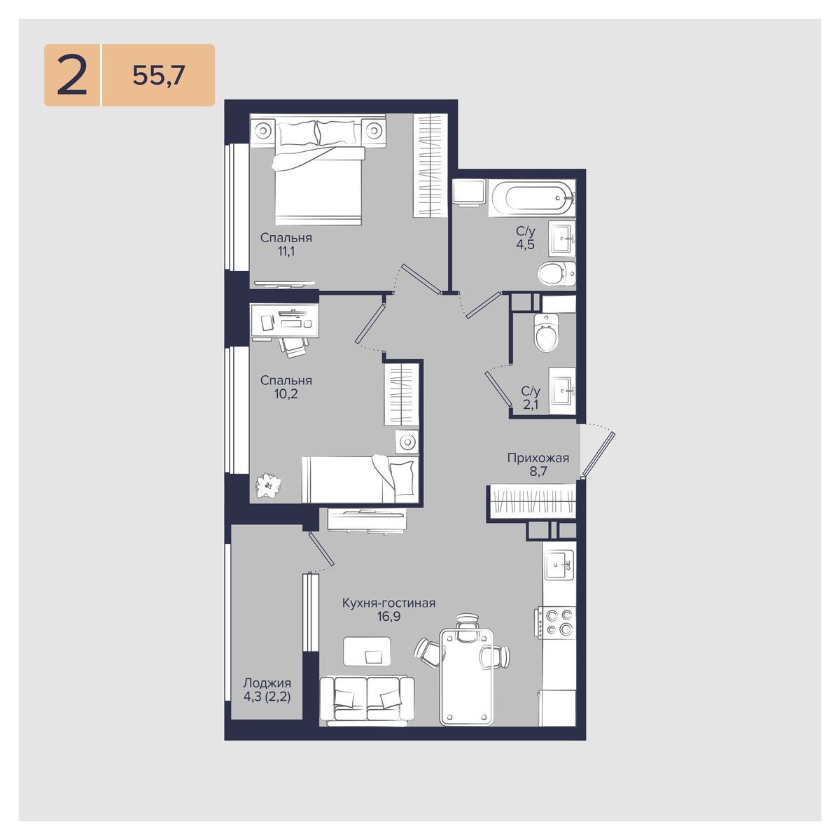 Планировка 2-комнатная 55,7 м²